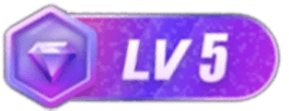 等级-LV5-爱省资源网