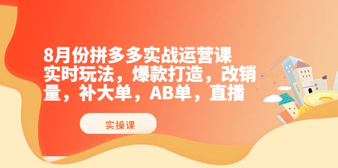8月份拼多多实战运营课，实时玩法，爆款打造，改销量，补大单，AB单，直播-爱省资源网