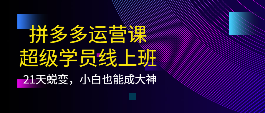 拼多多运营课：超级学员线上班，21天蜕变，小白也能成大神-爱省资源网