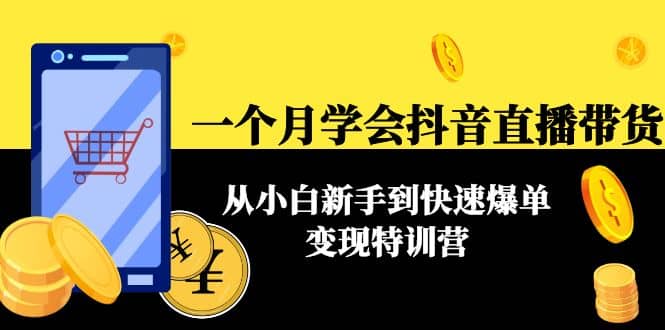 一个月学会抖音直播带货：从小白新手到快速爆单变现特训营(63节课)-爱省资源网
