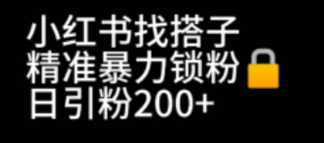 小红书找搭子暴力精准锁粉+引流日引200+精准粉-爱省资源网