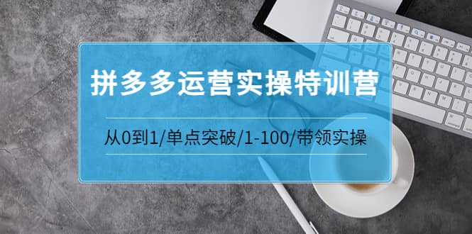 拼多多运营实操特训营：从0到1/单点突破/1-100/带领实操 价值2980元-爱省资源网