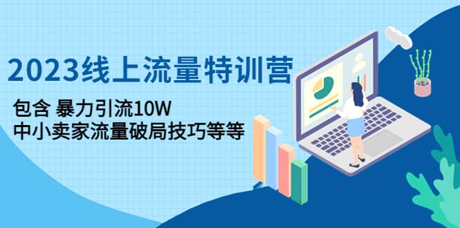 2023线上流量特训营：中小卖家流量破局技巧等等-爱省资源网