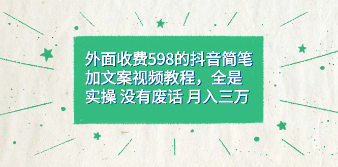 外面收费598抖音简笔加文案教程，全是实操 没有废话 月入三万（教程+资料）-爱省资源网