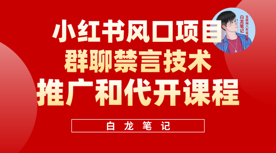 小红书风口项目日入300+，小红书群聊禁言技术代开项目，适合新手操作-爱省资源网