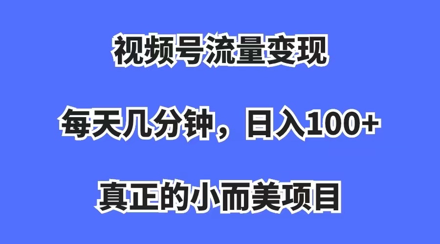 视频号流量变现，每天几分钟，收入100+，真正的小而美项目-爱省资源网