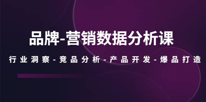 品牌-营销数据分析课，行业洞察-竞品分析-产品开发-爆品打造-爱省资源网