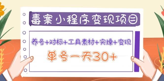 毒案小程序变现项目：养号+对标+工具素材+实操+变现-爱省资源网