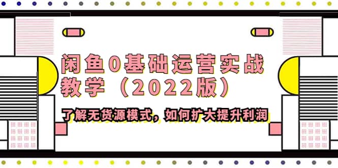 闲鱼0基础运营实战教学（2022版）了解无货源模式，如何扩大提升利润-爱省资源网