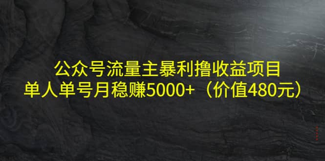 公众号流量主暴利撸收益项目，单人单号月稳赚5000+（价值480元）-爱省资源网