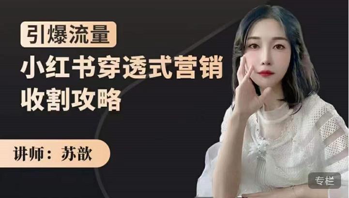 小红书穿透式营销收割攻略，引爆流量，助你玩转小红书-爱省资源网