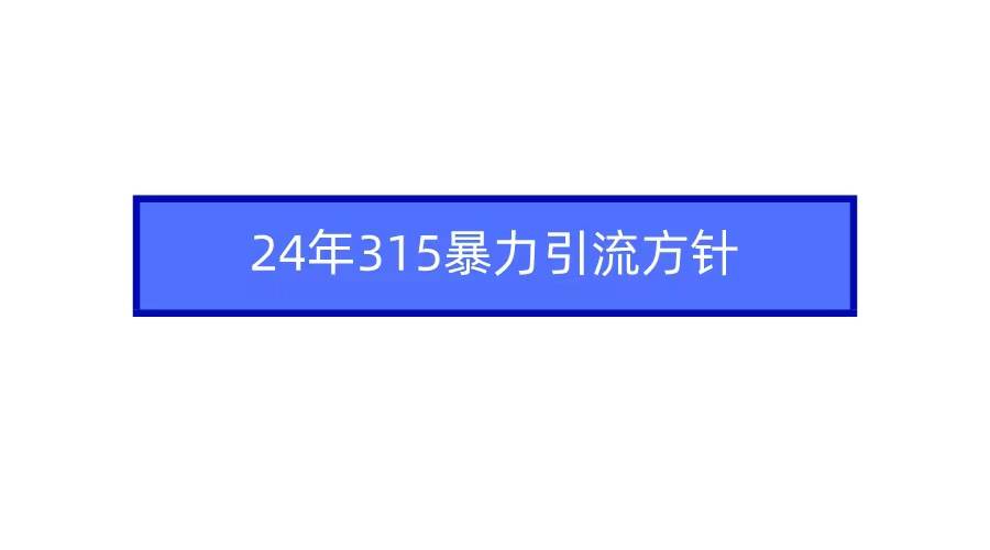 2024年315暴力引流方针-爱省资源网