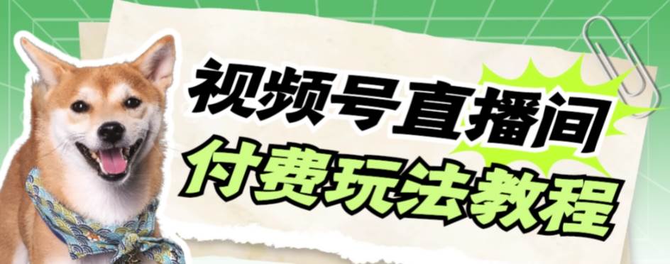 视频号美女付费无人直播，轻松日入500+【详细玩-爱省资源网