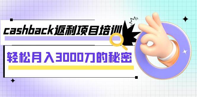 cashback返利项目培训：轻松月入3000刀的秘密（8节课）-爱省资源网