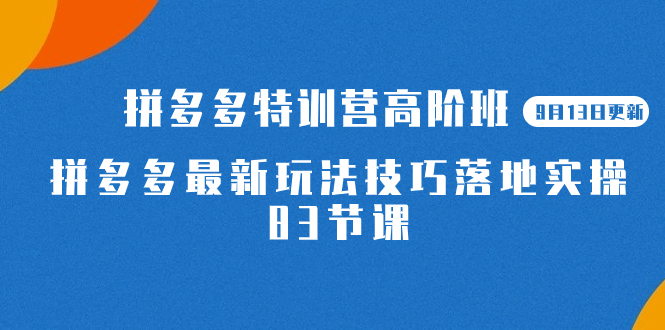 2023拼多多·特训营高阶班【9月13日更新】拼多多最新玩法技巧落地实操-83节-爱省资源网
