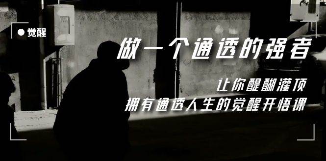 觉醒-做一个通透强者，让你醍醐灌顶，拥有通透人生，掌握强大的秘密-爱省资源网