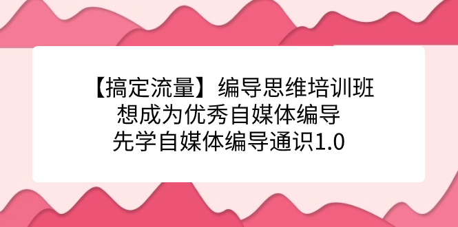 【搞定流量】编导思维培训班，想成为优秀自媒体编导先学自媒体编导通识1.0-爱省资源网