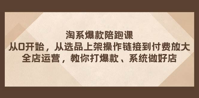 淘系爆款陪跑课 从选品上架操作链接到付费放大 全店运营 打爆款 系统做好店-爱省资源网