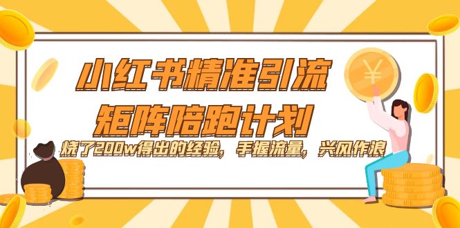 小红书精准引流·矩阵陪跑计划：烧了200w得出的经验，手握流量，兴风作浪！-爱省资源网