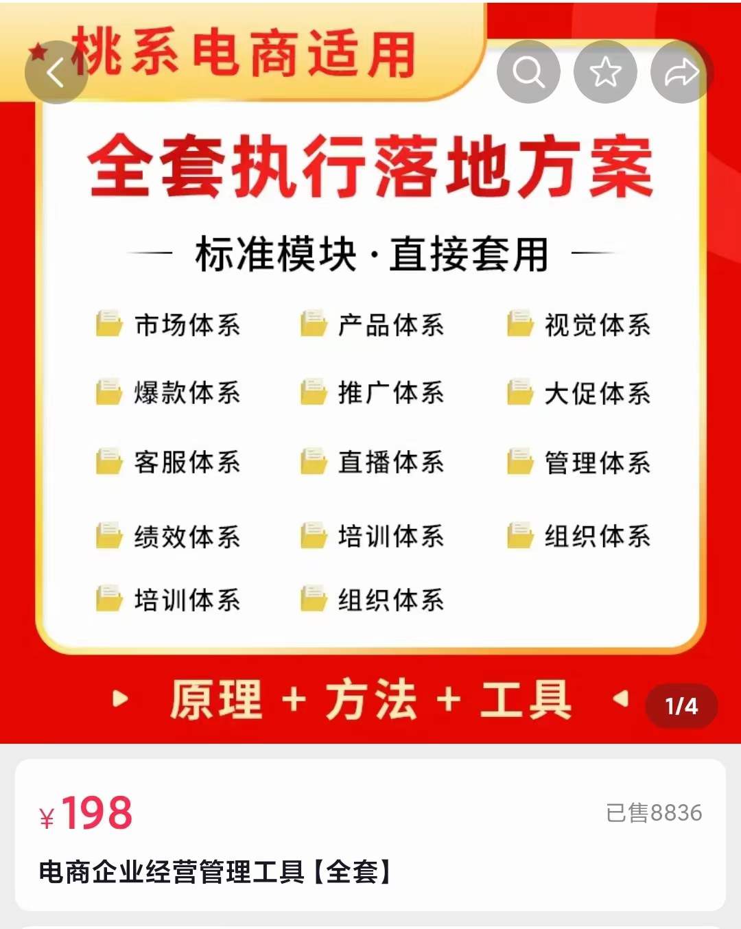 外面卖198·电商企业经营管理工具：全套执行落地方案 标准模块·直接套用-爱省资源网