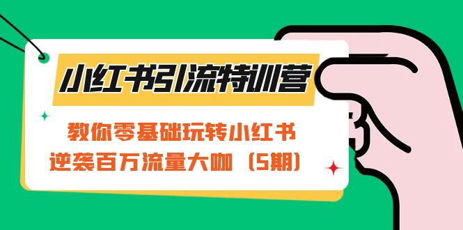 小红书引流特训营-第5期：教你零基础玩转小红书，逆袭百万流量大咖-爱省资源网