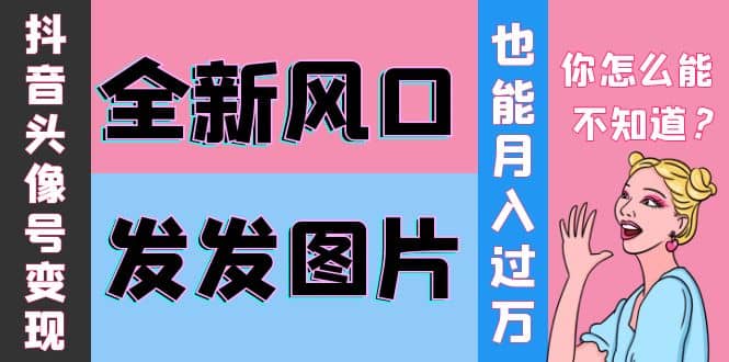 抖音头像号变现0基础教程-爱省资源网