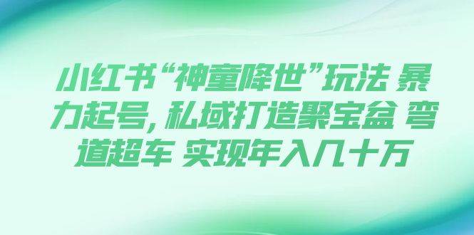 小红书“神童降世”玩法 暴力起号,私域打造聚宝盆 弯道超车 实现年入几十万-爱省资源网