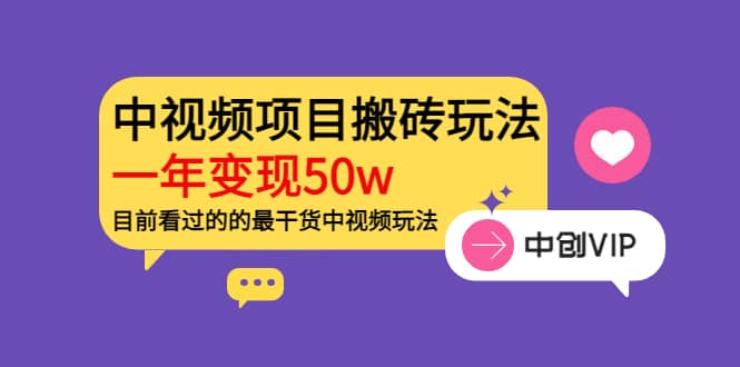 《老吴·中视频项目搬砖玩法，一年变现50w》目前看过的的最干货中视频玩法-爱省资源网