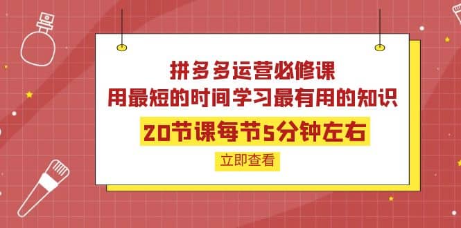 拼多多运营必修课：20节课每节5分钟左右，用最短的时间学习最有用的知识-爱省资源网