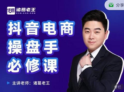 诸葛老王-抖音电商操盘手必修课：顶层设计，​起号破局，爆款运营，数据分析-爱省资源网