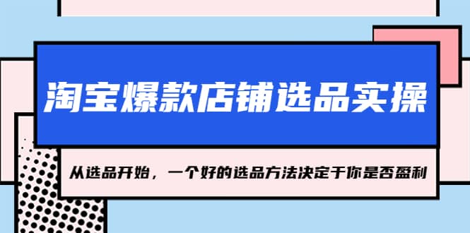 淘宝爆款店铺选品实操，2023从选品开始，一个好的选品方法决定于你是否盈利-爱省资源网