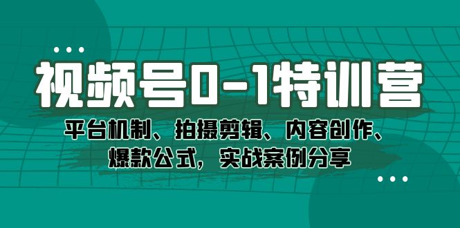 视频号0-1特训营：平台机制、拍摄剪辑、内容创作、爆款公式，实战案例分享-爱省资源网