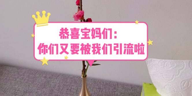 恭喜宝妈们：你们又要被我们引流了（教程+222g资料）-爱省资源网