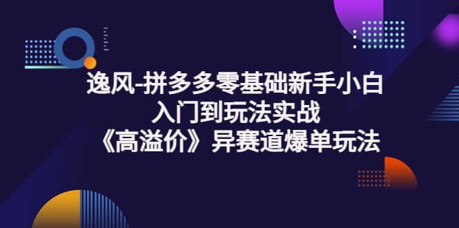 拼多多零基础新手小白入门到玩法实战《高溢价》异赛道爆单玩法实操课-爱省资源网