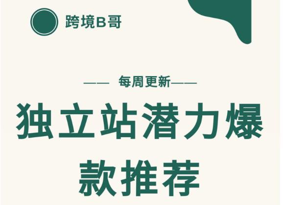 【跨境B哥】独立站潜力爆款选品推荐，测款出单率高达百分之80（每周更新）-爱省资源网