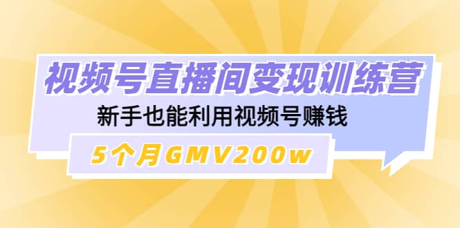 视频号直播间变现训练营-爱省资源网