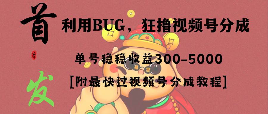 全网独家首发，视频号BUG，超短期项目，单号每日净收益300-5000！-爱省资源网