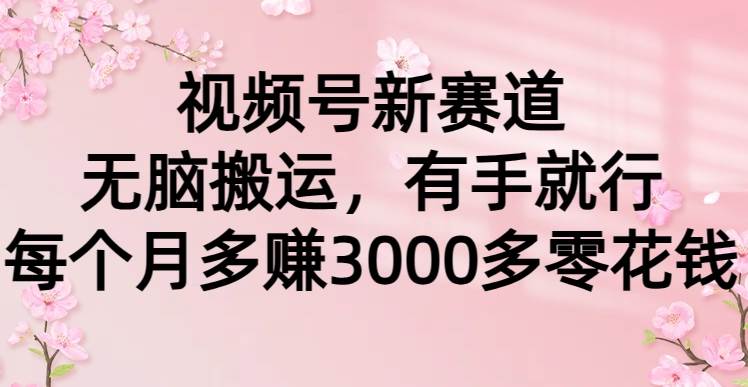 视频号新赛道，无脑搬运，有手就行，每个月多赚3000多零花钱-爱省资源网