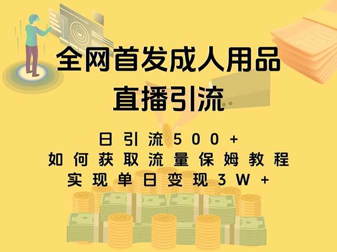 最新全网独创首发，成人用品直播引流获客暴力玩法，单日变现3w保姆级教程-爱省资源网