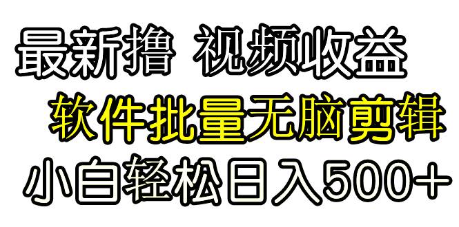 发视频撸收益，软件无脑批量剪辑，第一天发第二天就有钱-爱省资源网