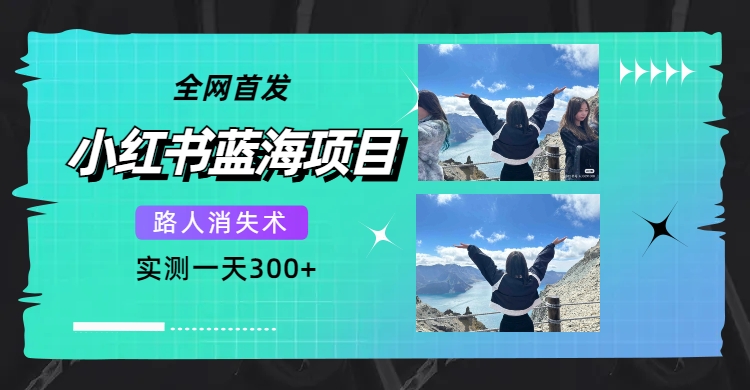 全网首发，小红书蓝海项目，路人消失术，实测一天300+（教程+工具）-爱省资源网