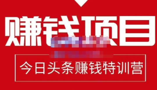 今日头条项目玩法，头条中视频项目，单号收益在50—500可批量-爱省资源网