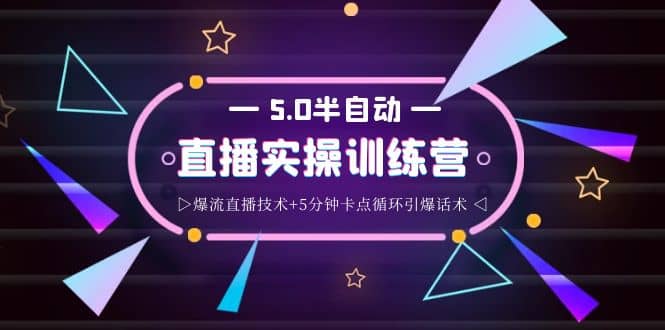 蚂蚁·5.0半自动直播2345打法，半自动爆流直播技术+5分钟卡点循环引爆话术-爱省资源网