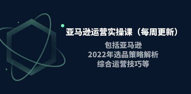 亚马逊运营实操课（每周更新）包括亚马逊2022选品策略解析，综合运营技巧等-爱省资源网