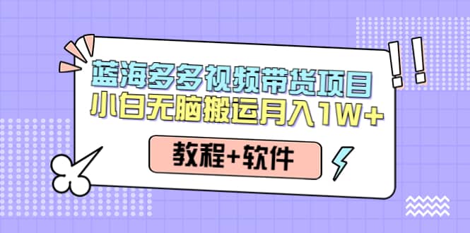人人都能操作的蓝海多多视频带货项目 小白无脑搬运（教程+软件）-爱省资源网