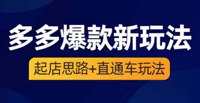 2023拼多多爆款·新玩法：起店思路+直通车玩法（3节精华课）-爱省资源网