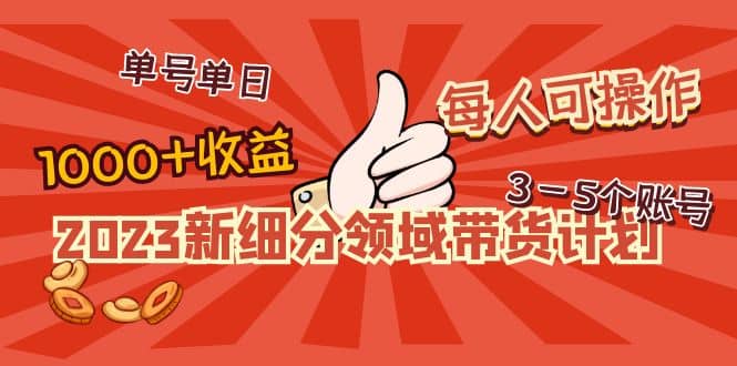 2023新细分领域带货计划：单号单日1000+收益不难，每人可操作3-5个账号-爱省资源网