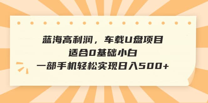 蓝海高利润，车载U盘项目，适合0基础小白，一部手机轻松实现日入500+-爱省资源网