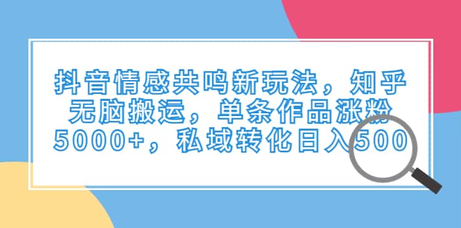 抖音情感共鸣新玩法，知乎无脑搬运，单条作品涨粉5000+，私域转化日入500-爱省资源网