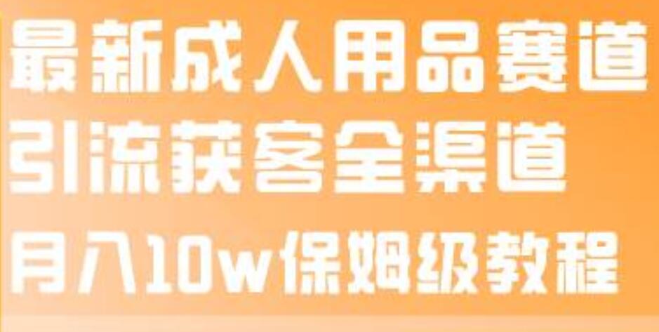 最新成人用品赛道引流获客全渠道，月入10w保姆级教程-爱省资源网